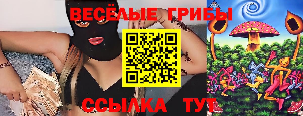 Галлюциногенные грибы Psilocybe  Вход с VPN  Иваново 