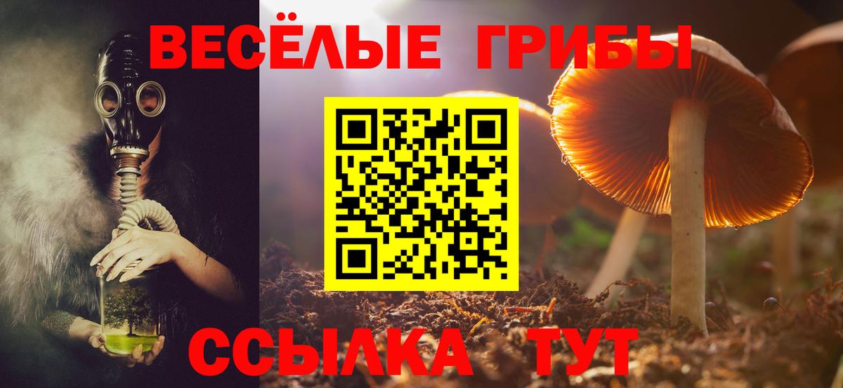 Галлюциногенные грибы прущие грибы Иваново